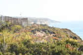 Enlarge photo 663