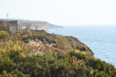 Enlarge photo 664