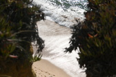 Enlarge photo 665