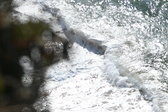 Enlarge photo 670