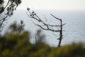 Enlarge photo 679
