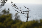 Enlarge photo 680