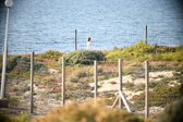 Enlarge photo 682