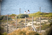 Enlarge photo 683