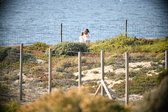 Enlarge photo 684