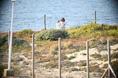 Enlarge photo 687