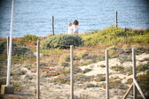 Enlarge photo 689