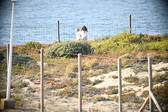 Enlarge photo 690