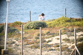 Enlarge photo 691