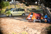 Enlarge photo 693