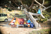 Enlarge photo 695