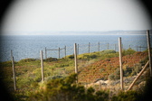 Enlarge photo 702