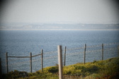 Enlarge photo 703
