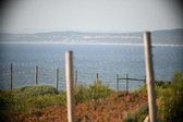 Enlarge photo 704