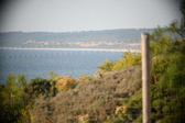 Enlarge photo 705