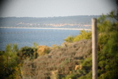 Enlarge photo 706