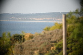 Enlarge photo 707