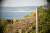 Enlarge photo 708
