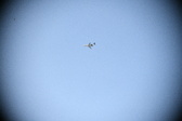 Enlarge photo 709