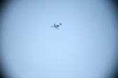 Enlarge photo 712