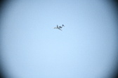 Enlarge photo 713