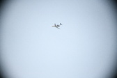 Enlarge photo 714