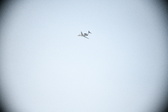 Enlarge photo 715