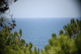 Enlarge photo 716