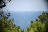 Enlarge photo 717