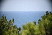 Enlarge photo 719