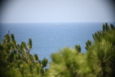 Enlarge photo 464
