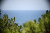 Enlarge photo 465
