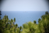 Enlarge photo 466