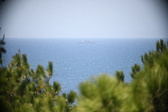 Enlarge photo 467