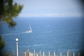 Enlarge photo 468