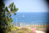 Enlarge photo 469