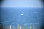 Enlarge photo 472