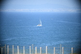 Enlarge photo 473