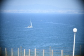 Enlarge photo 474