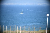 Enlarge photo 475