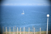 Enlarge photo 476