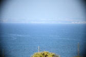 Enlarge photo 480