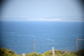 Enlarge photo 483