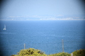Enlarge photo 485