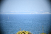 Enlarge photo 486