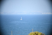 Enlarge photo 487