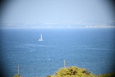 Enlarge photo 488
