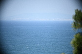 Enlarge photo 489