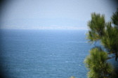 Enlarge photo 491