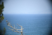 Enlarge photo 492
